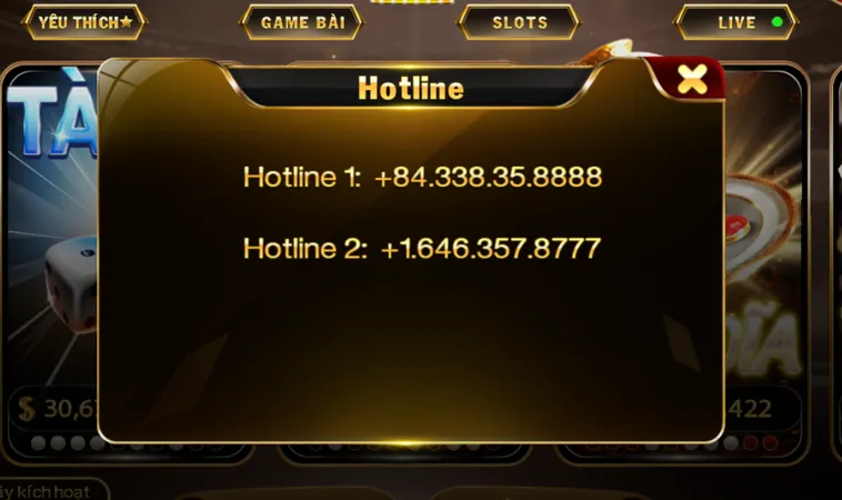 Hotline Hỗ Trợ 24/7 Cực Kỳ Chuyên Nghiệp - Tận Tình